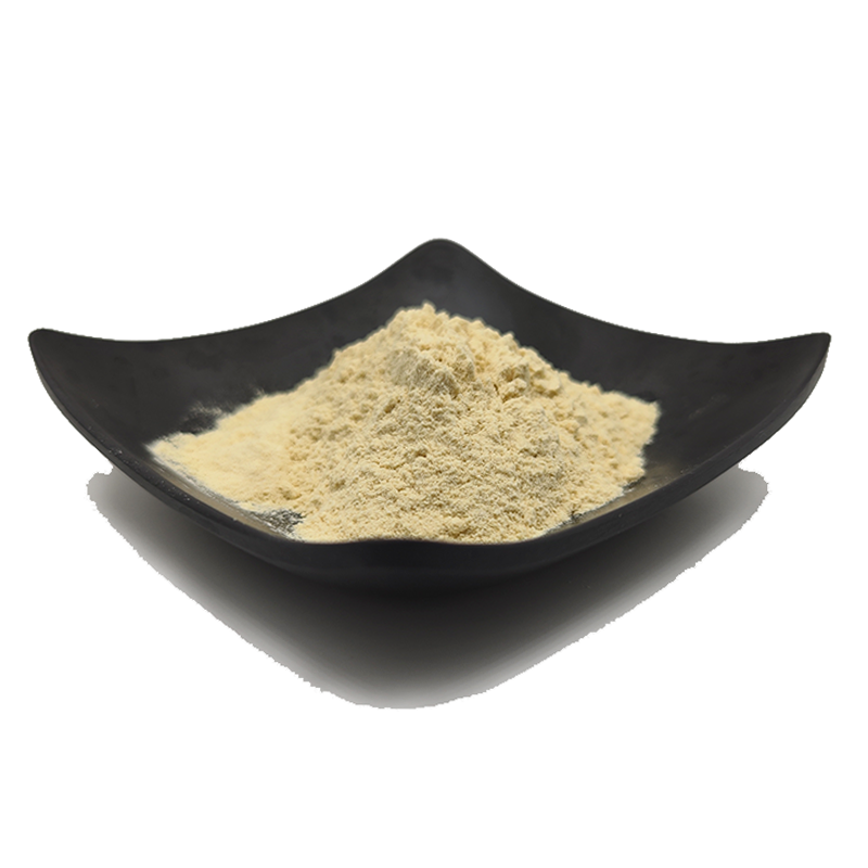 Wholesale Cashew Extract Powder Top Grade Cashew Nut Extract Powder