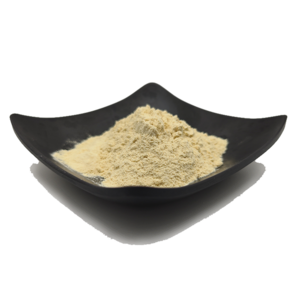 Wholesale Cashew Extract Powder Top Grade Cashew Nut Extract Powder