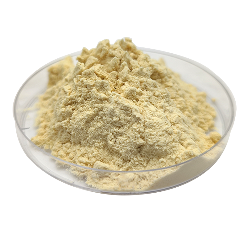 Natural Fresh Organic Banana Peel Extract Powder