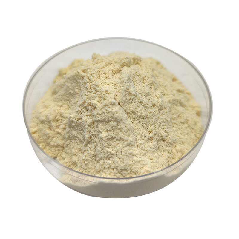 Natural Fresh Organic Banana Peel Extract Powder