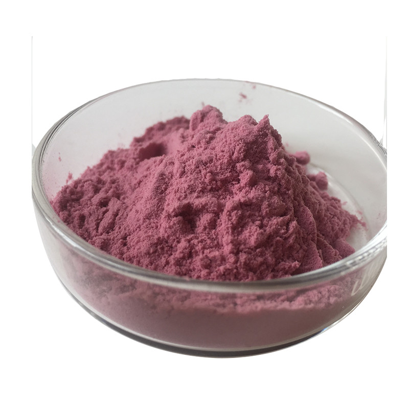 Manufacturer sells Aronia Fruit Powder with high water solubility