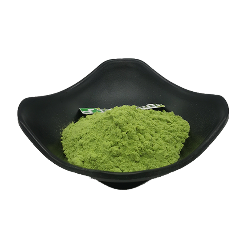 100% Natural Caulerpa Lentillifera Powder Sea Grapes Powder For Food And Skincare