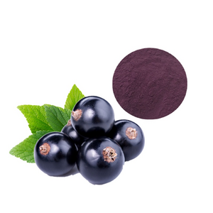 Wholesales Blackcurrant Fruit Powder Black Currant Juice Powder with Low Price