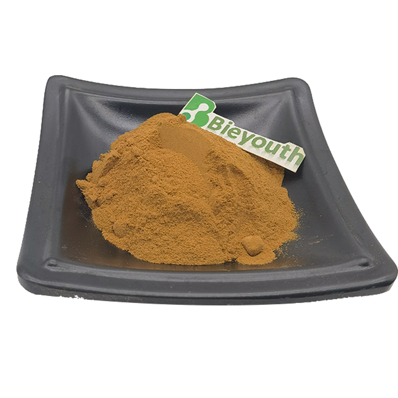 Factory Supply Chanterelle Mushroom Extract Powder Chanterelle Mushroom Extract