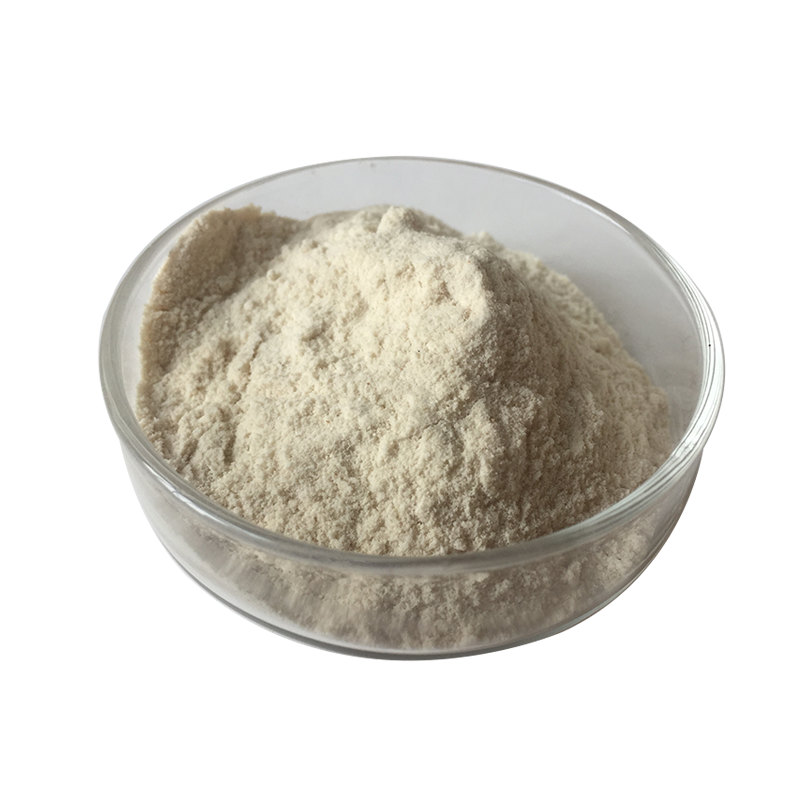 Wholesale 100% Pure Natural good Price Free Sample Kavalactone Root Kava Extract