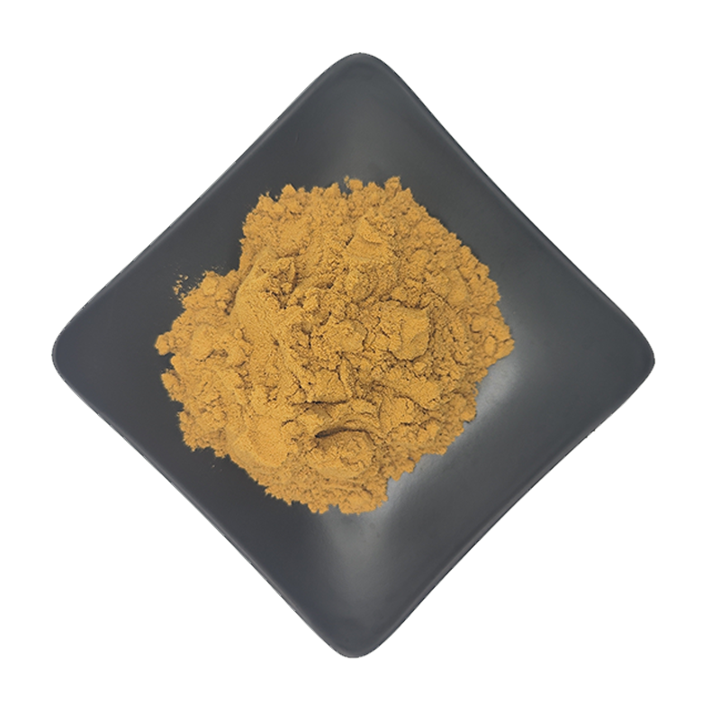 100% Pure Guava Leaf Extract Guava Fruit Powder