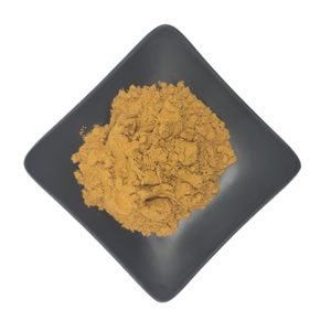 100% Pure Guava Leaf Extract Guava Fruit Powder