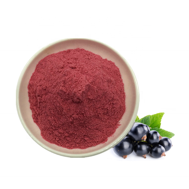 Wholesales Blackcurrant Fruit Powder Black Currant Juice Powder with Low Price