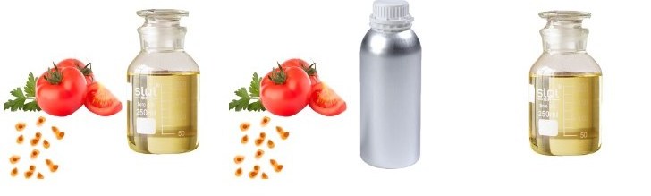 Hot Selling Natural Essential Oil Edible Tomato Seed Oil Tomato Essential Oil Bulk