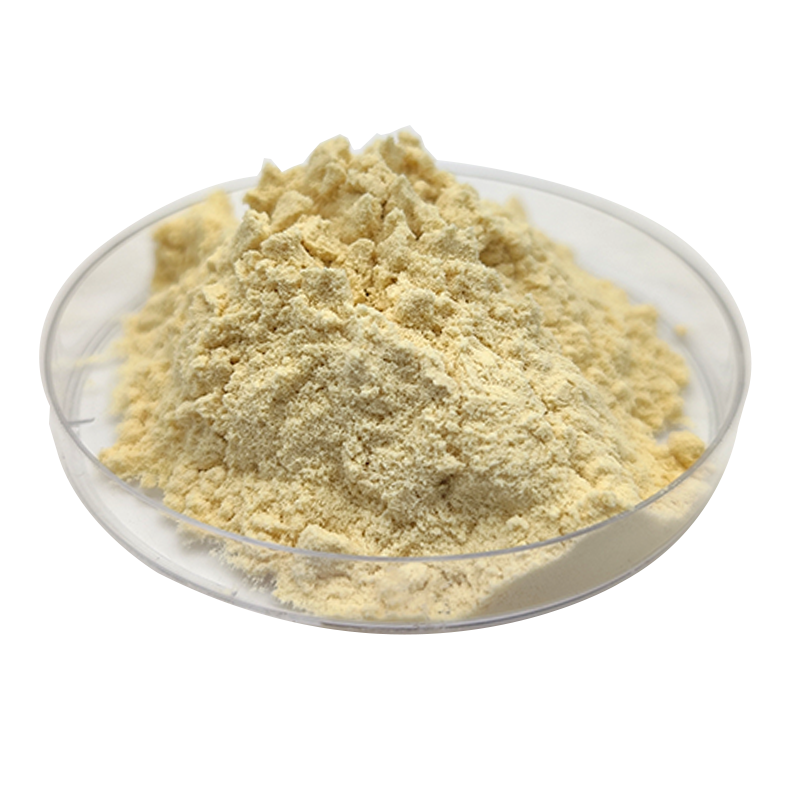 Natural Fresh Organic Banana Peel Extract Powder