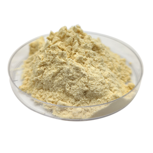 Natural Fresh Organic Banana Peel Extract Powder