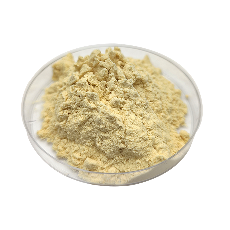 Natural Fresh Organic Banana Peel Extract Powder