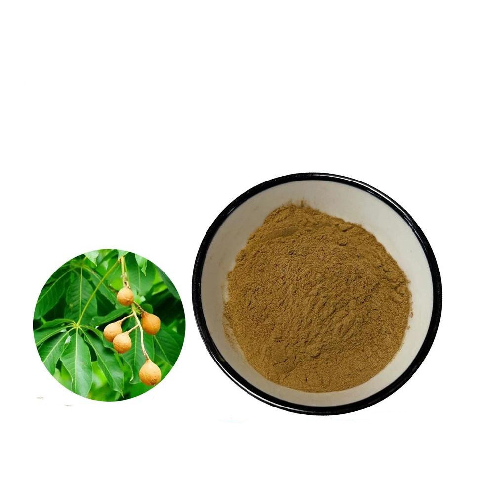 Hiqh Quality Aesculus Hippocastanum Extract 20%-98% Aescin Powder Horse Chestnut Extract