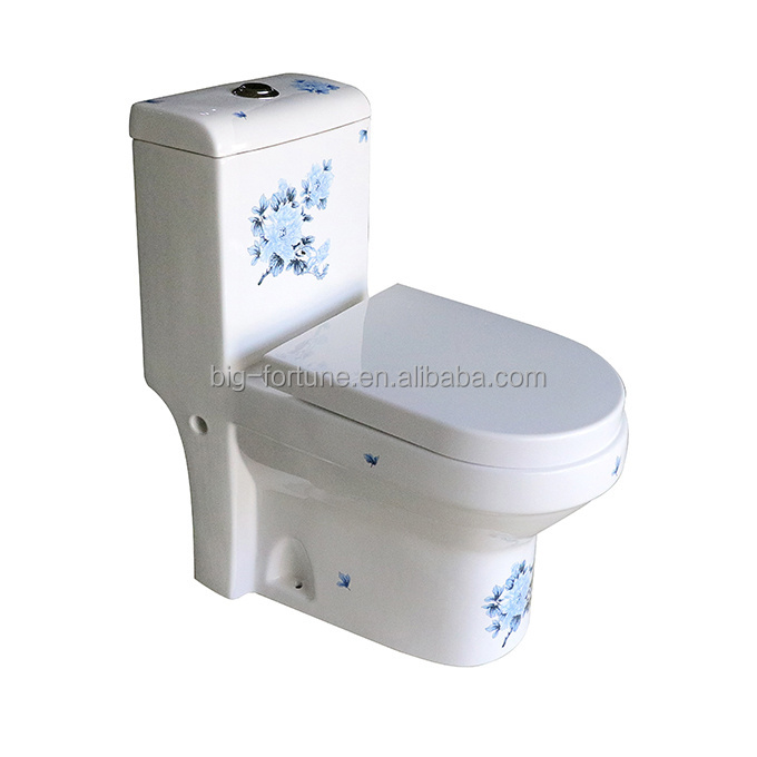 Nepal Market Promotion Colored China Toilet , Siphonic Flush Toilet