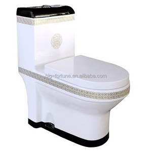 Washdown Floor Mounted Wc Toilet , Chemical Toilet For Home Sale