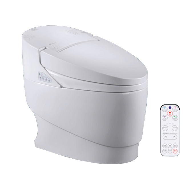 Bathroom Ceramic Intelligent Bidet One Piece Smart Toilet