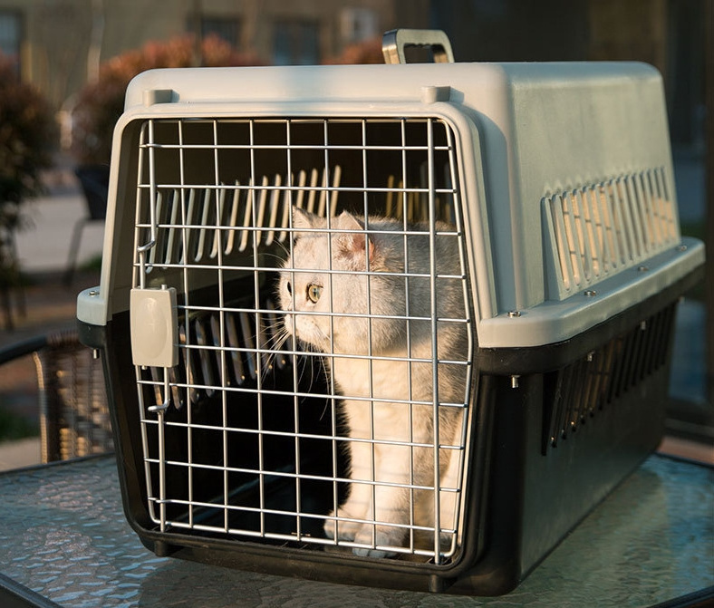 Pet air box for dogs cats and small animal portable travel outdoor transport pet price portable cat cage with wheels