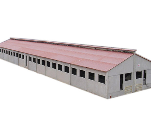 Light Steel Frame Prefabricated Steel Structure Pig House Cowshed Barn Horse Shed from Qingdao China