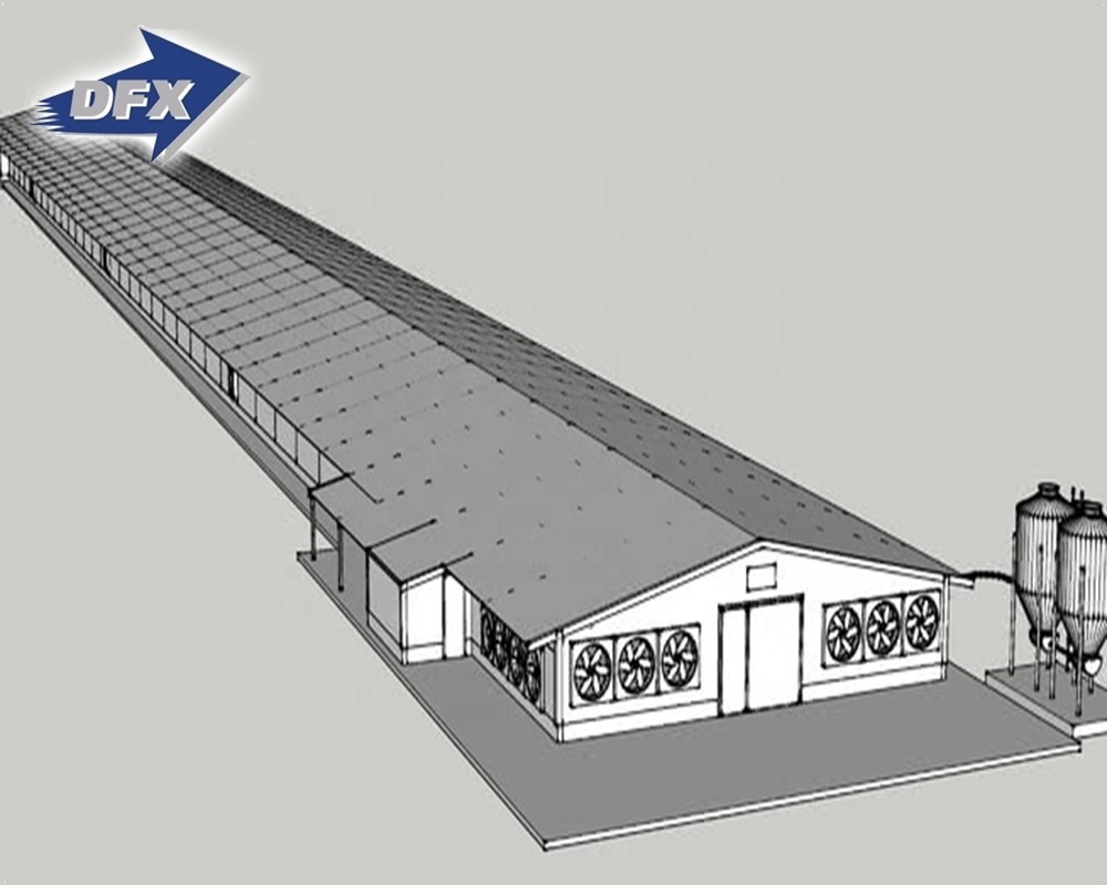 Steel Structure Poultry Farming Shed Chicken Building For 60000 Birds