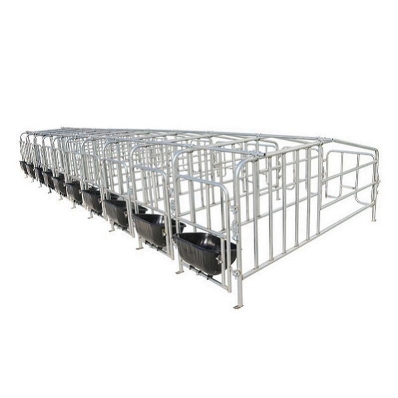 pig gestation crate pig farm equipment pig farrowing crate sow crate gestation stall