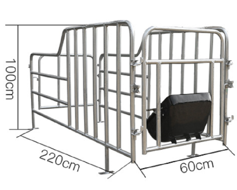 pig gestation crate pig farm equipment pig farrowing crate sow crate gestation stall