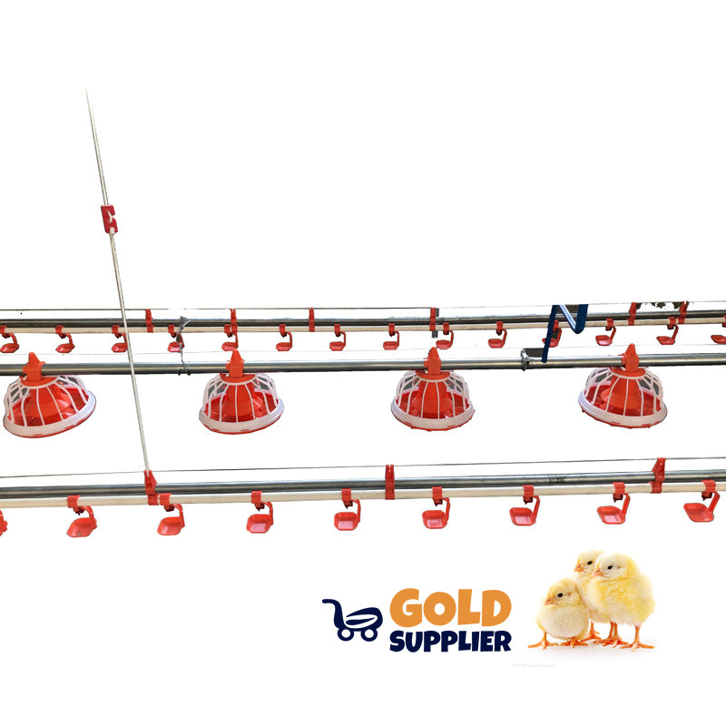 Chicken raising equipment Flat raising chicken and goose automatic feeding and drinking system