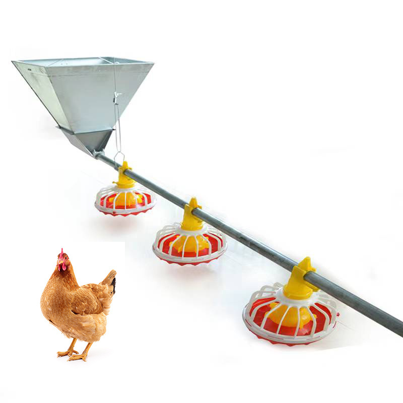 Chicken raising equipment Flat raising chicken and goose automatic feeding and drinking system