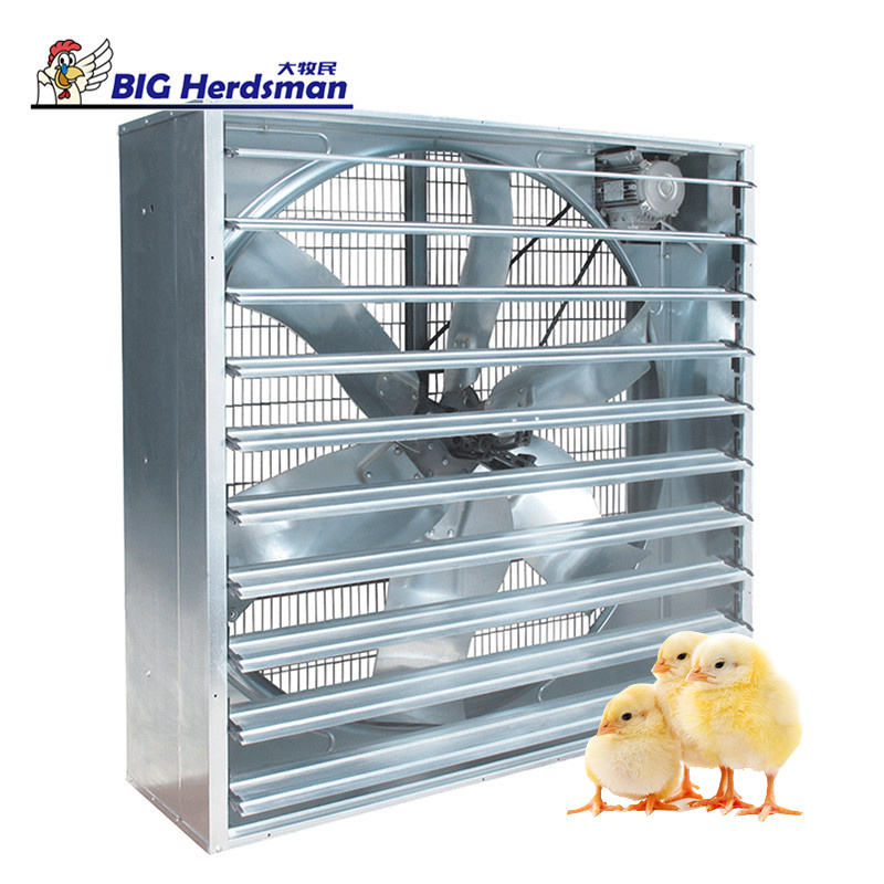 High efficiency and energy saving 54 inch exhaust fan Farm Warehouse Factory  box poultry fan