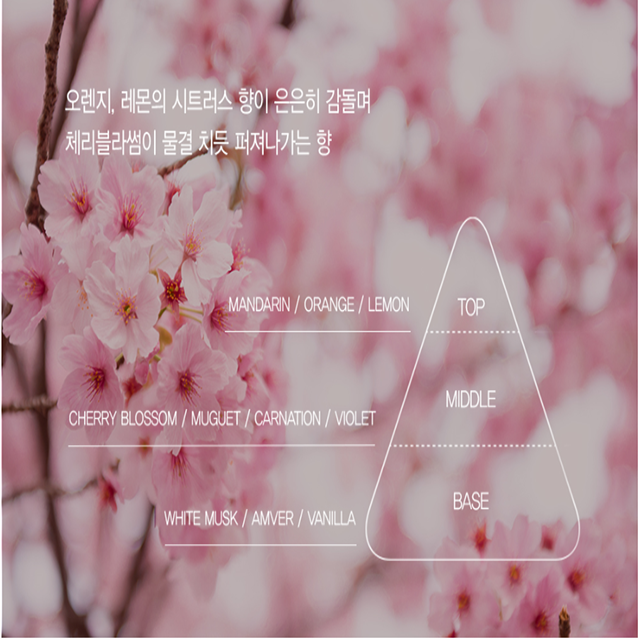 Cherry Blossom Perfumed Body Moisturizer - Korean Cosmetics