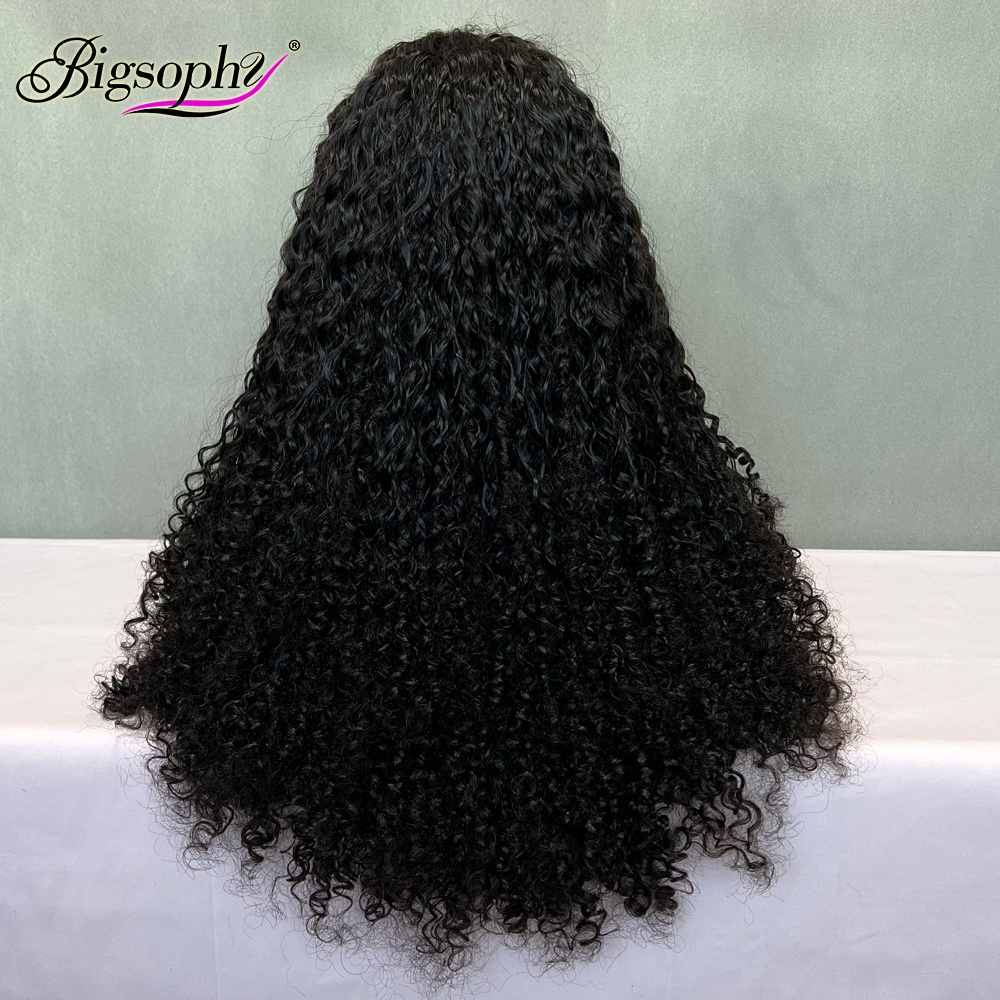 Wholesale Quality Vietnamese Double Drawn Human Hair Wigs,Freedom Official Store Wigs, Posh Curl Lace Closure Ladies Hair Wig