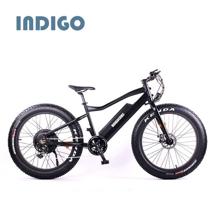 China Supplier Mountain Fat Tire Electric Bike mid motor tyre electric bike/bycicle/ebike 750w electric bike