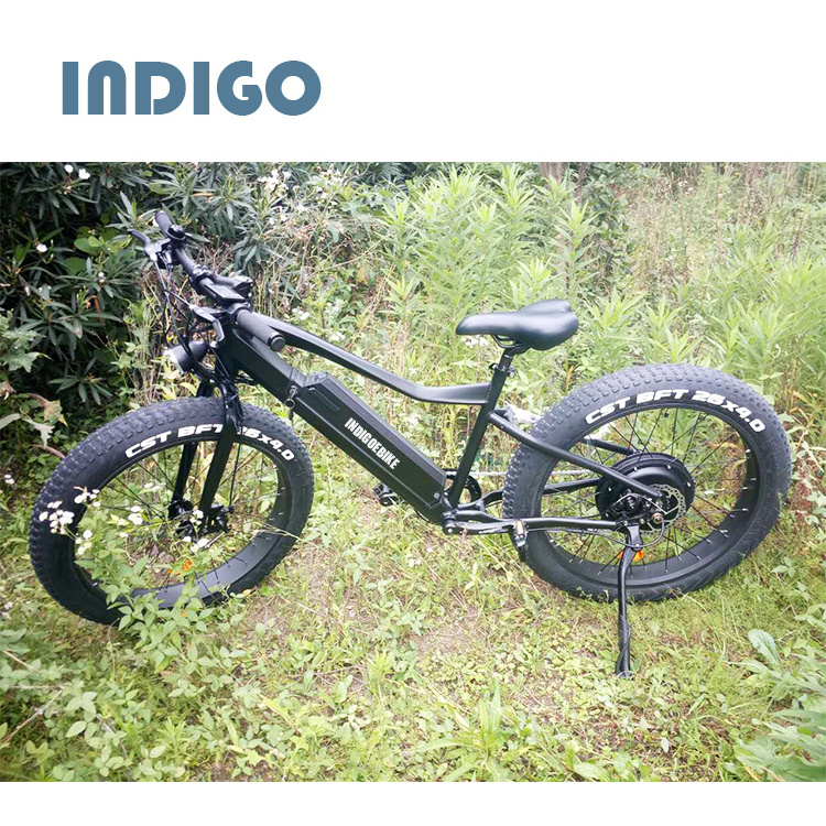 China Supplier Mountain Fat Tire Electric Bike mid motor tyre electric bike/bycicle/ebike 750w electric bike