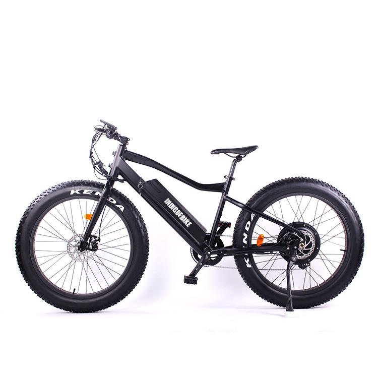 China Supplier Mountain Fat Tire Electric Bike mid motor tyre electric bike/bycicle/ebike 750w electric bike