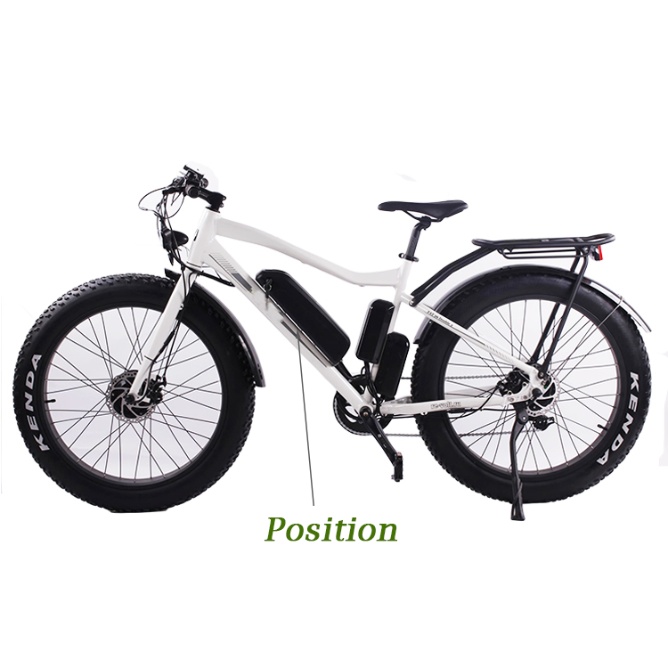 Polly ebike battery case 48V lithium battery e bike 16.0AH lithium battery