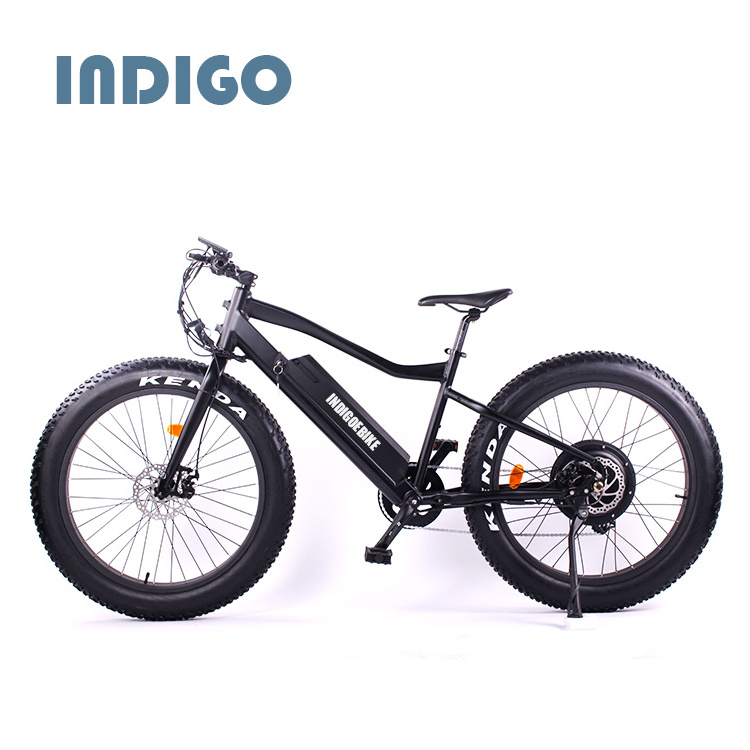 China Supplier Mountain Fat Tire Electric Bike mid motor tyre electric bike/bycicle/ebike 750w electric bike