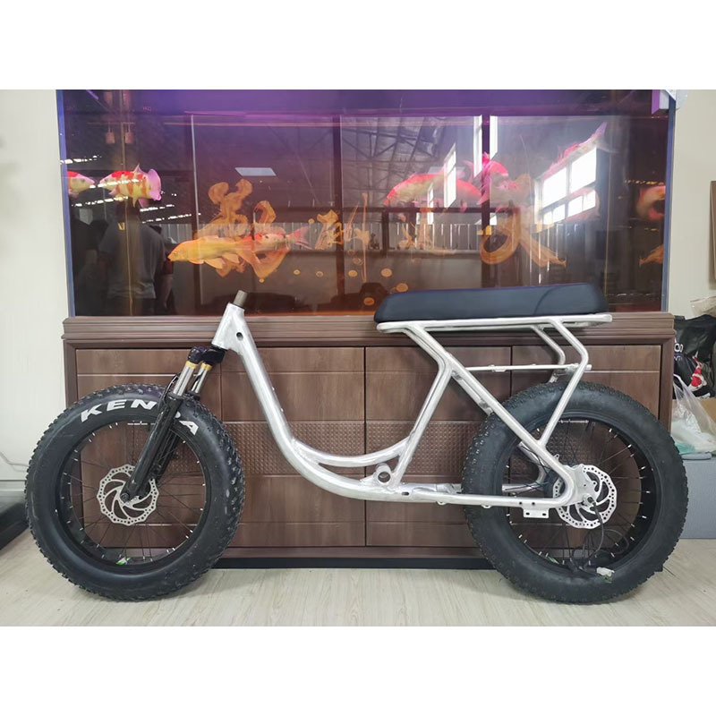 20 inch Aluminium Alloy Fat Tire Electric Bike Super Ebike 73 Frame