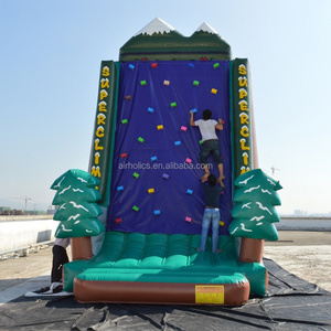 Outdoor inflatable climbing walls ,giant inflatable rock climbing wall,inflatable sport wall A6041