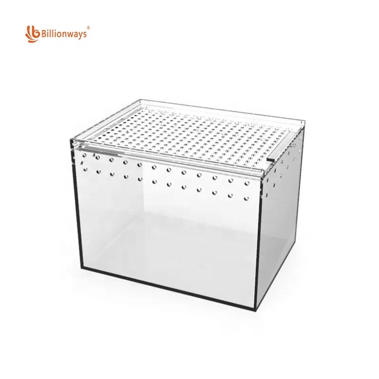 Custom Transparent Acrylic Reptile Lizard  Terrarium Cage Ant Feeding Box Display Case with Mesh Grid Lid