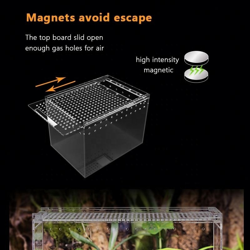 Custom Transparent Acrylic Reptile Lizard  Terrarium Cage Ant Feeding Box Display Case with Mesh Grid Lid