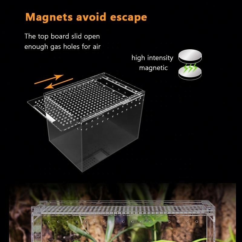 Big size reptile glass terrarium cage for living reptile snake, gecko, lizard tortoise