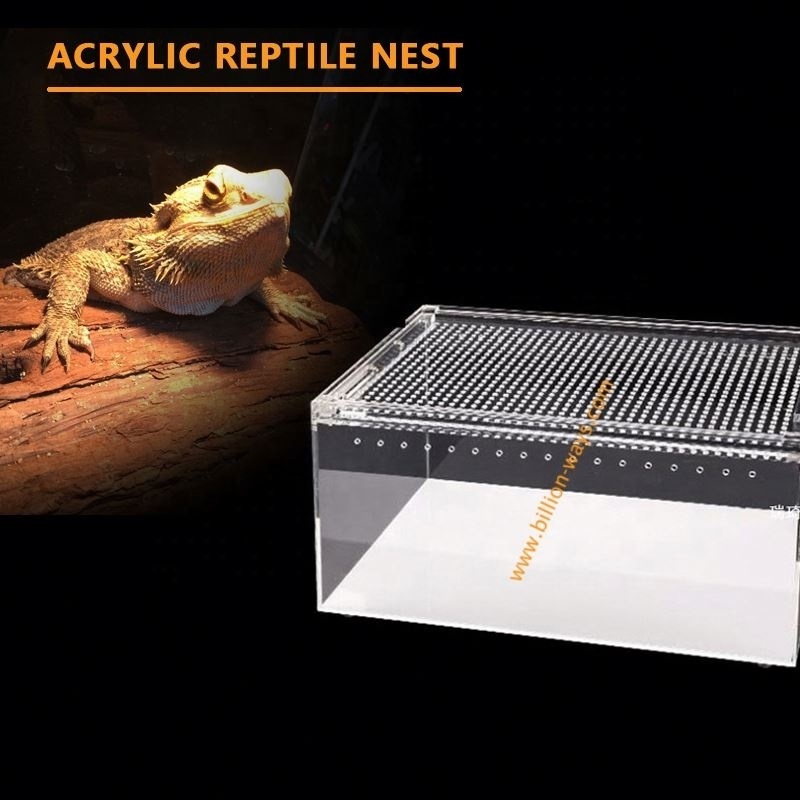 Custom Transparent Acrylic Reptile Lizard  Terrarium Cage Ant Feeding Box Display Case with Mesh Grid Lid