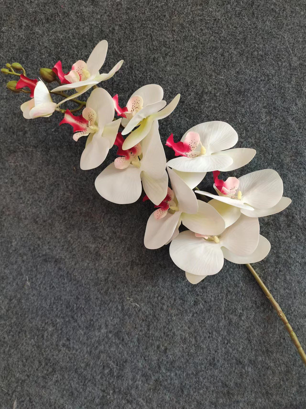 Eco-friendly Natural real Touch Latex Latex Moth Orchid Artificial Flower Moth Butterfly Orchid white orchid