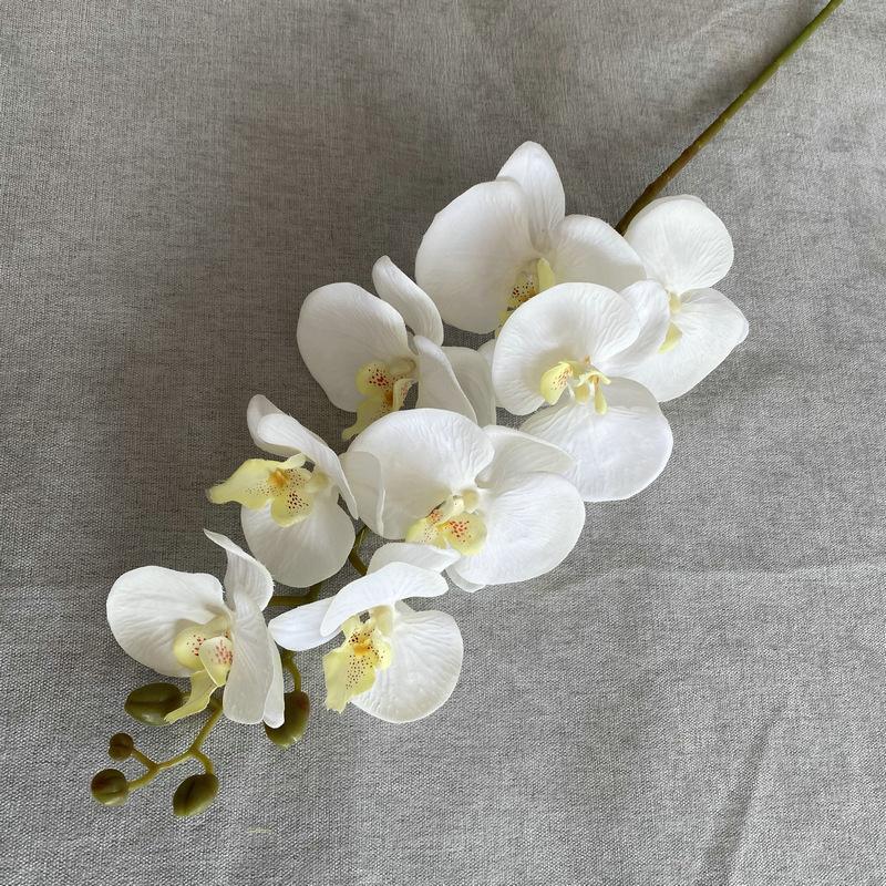 Factory Direct Customizable Butterfly Orchid Flower Phalaenopsis Amabilis Faux Phalaenopsis Branches small Blooms White