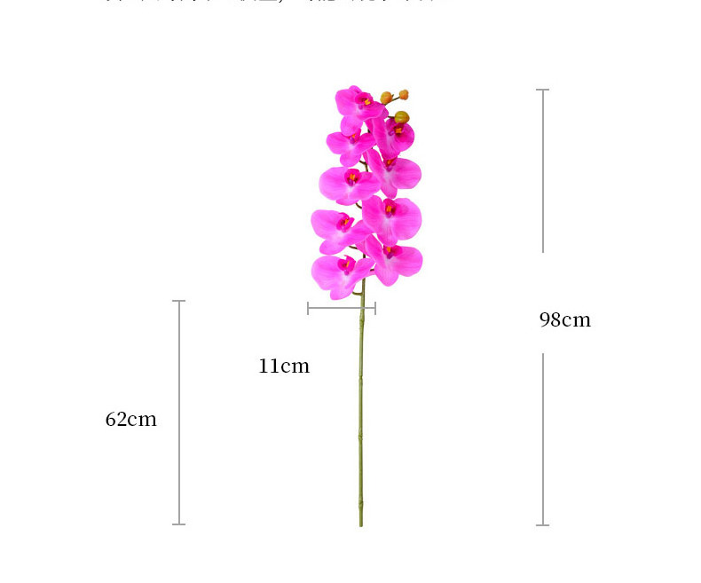 Eco-friendly Natural Latex Real Touch Flower Artificial Orchid	Moth Butterfly Orchid	For Lamp Frame Bookmark Child Education