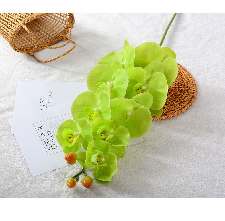 Eco-friendly Natural Latex Real Touch Flower Artificial Orchid	Moth Butterfly Orchid	For Lamp Frame Bookmark Child Education