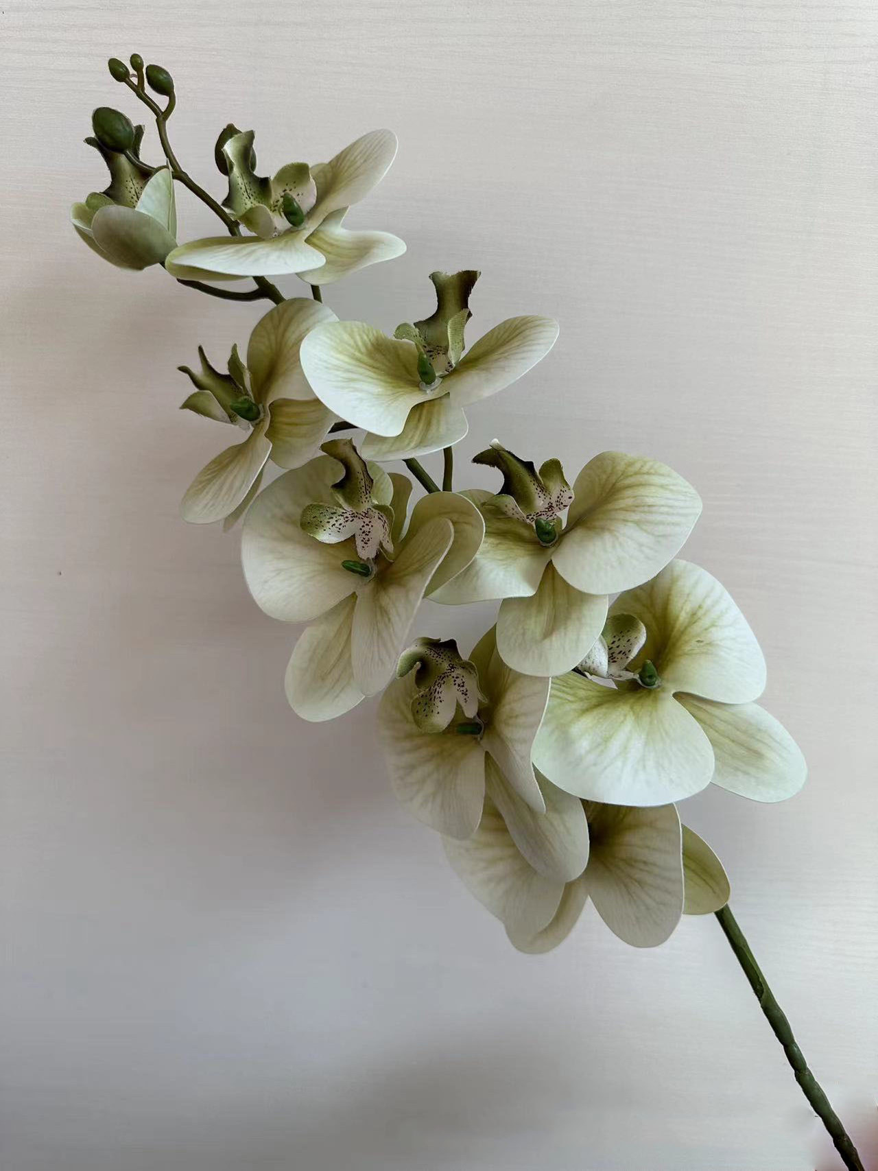 Natural Touch Latex	artificial moth orchid 	Moth Butterfly Orchid	for home decoration creations wedding greenery arrangement