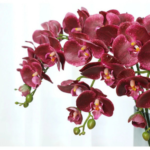 Real Touch Artificial flower phalaenopsis flower Moth Butterfly Orchid For Home Decorative Manufacture