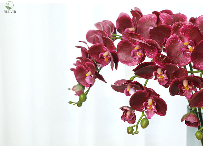 Eco-friendly Natural real Touch Latex Phalaenopsis Amabilis Suitable Moth Butterfly Orchid In Bulk Silk Stem Decorative Flowers