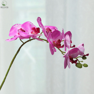 Natural Touch Latex	Real Touch Flower Artificial Orchid	Moth Butterfly Orchid	For Lamp Frame Bookmark Child Education