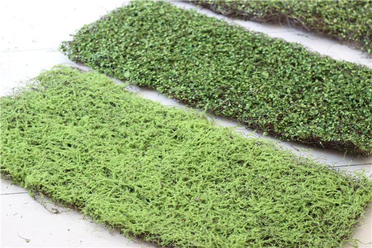 Plants Wall Artificial Moss Grass Wall Vineer Carton Package Plastic Leaves Decorative Plastic for Decoration High Quality Green